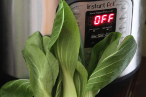 Pressure Cooker Bok Choy