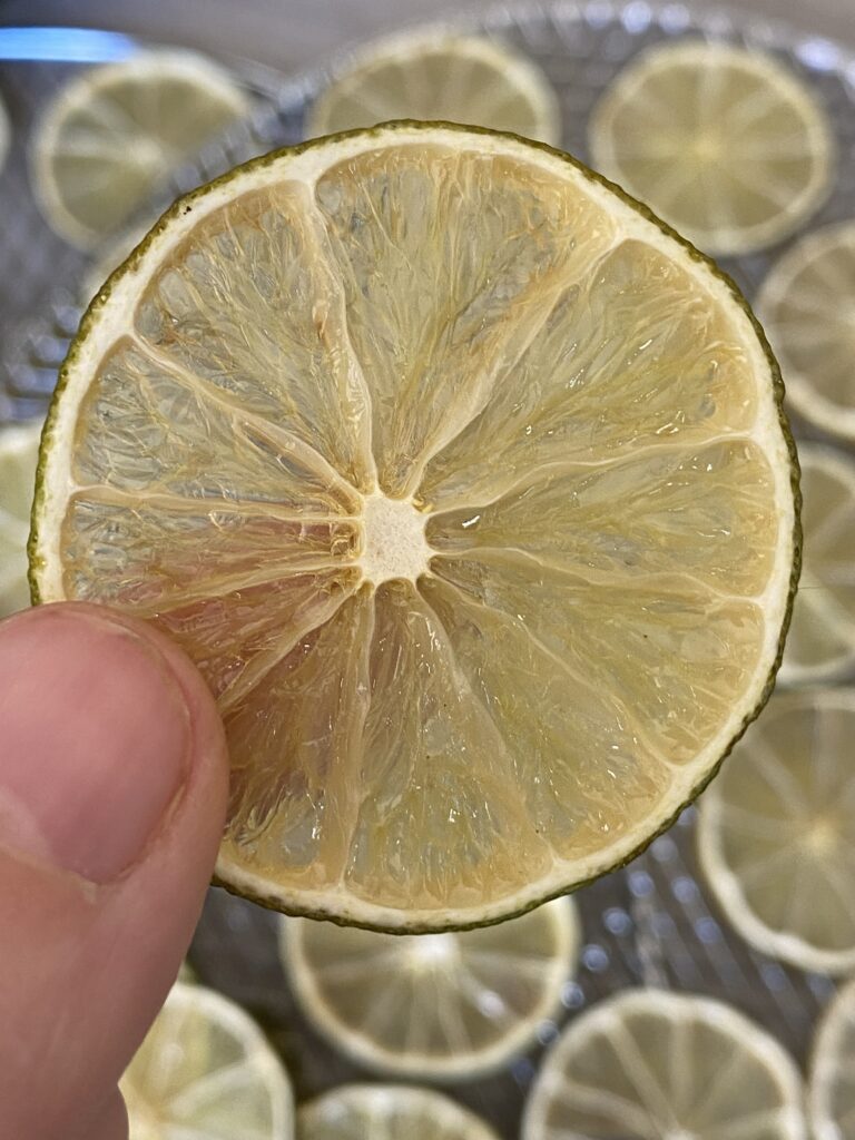Dehydrated Limes In Air Fryer