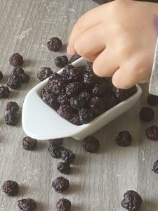 How To Dehydrate Blueberries