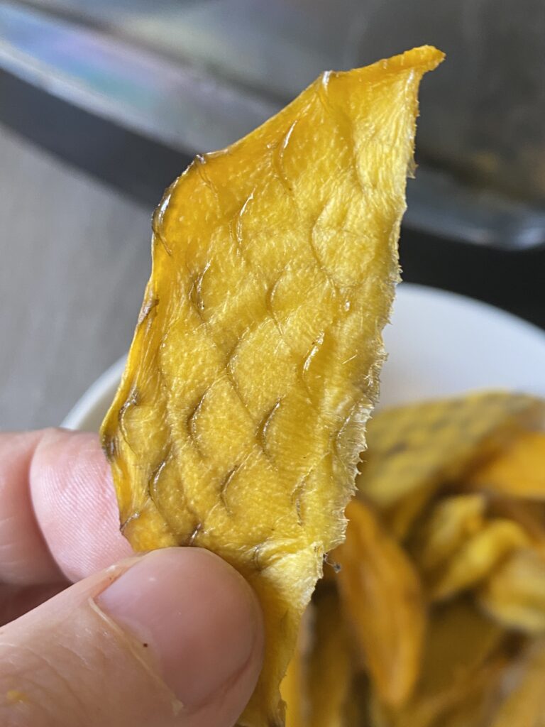 dehydrated mango