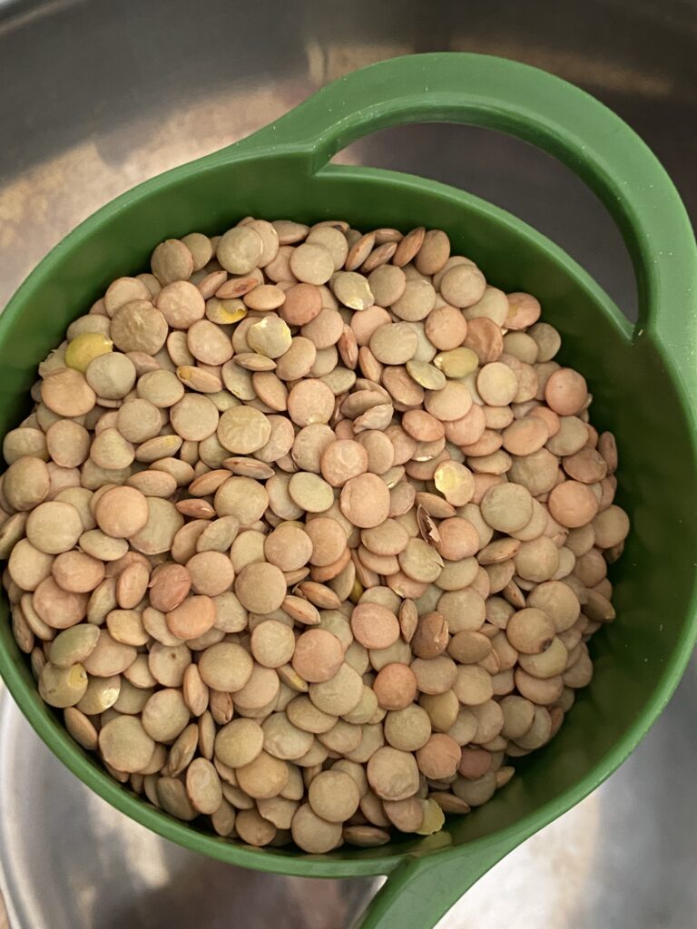 instant pot green lentils