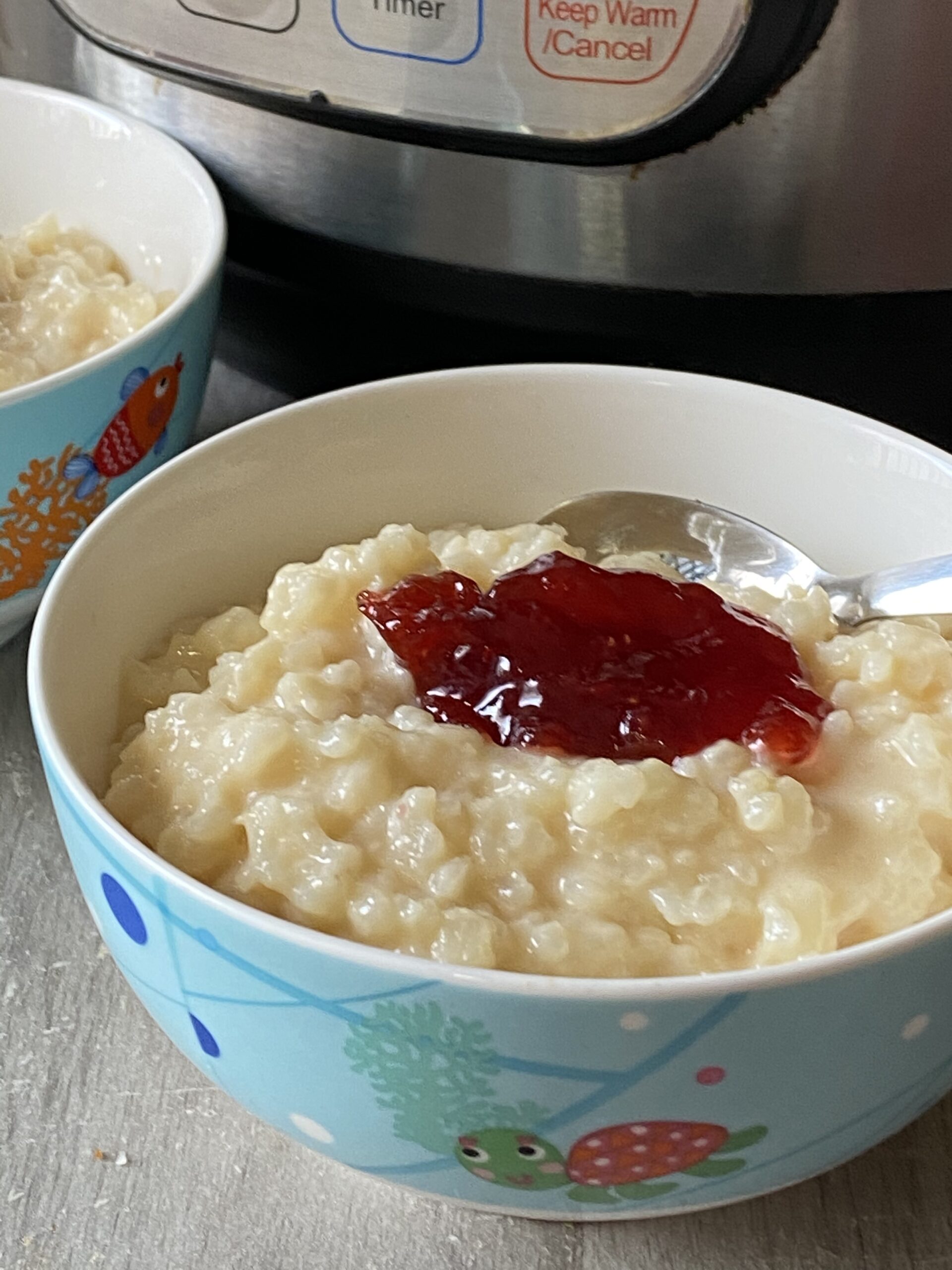 instant pot rice pudding