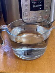 instant pot water test