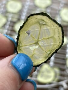 Air Fryer Dehydrated Cucumber Chips