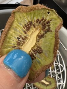 Dehydrated Kiwi Chips In Air Fryer