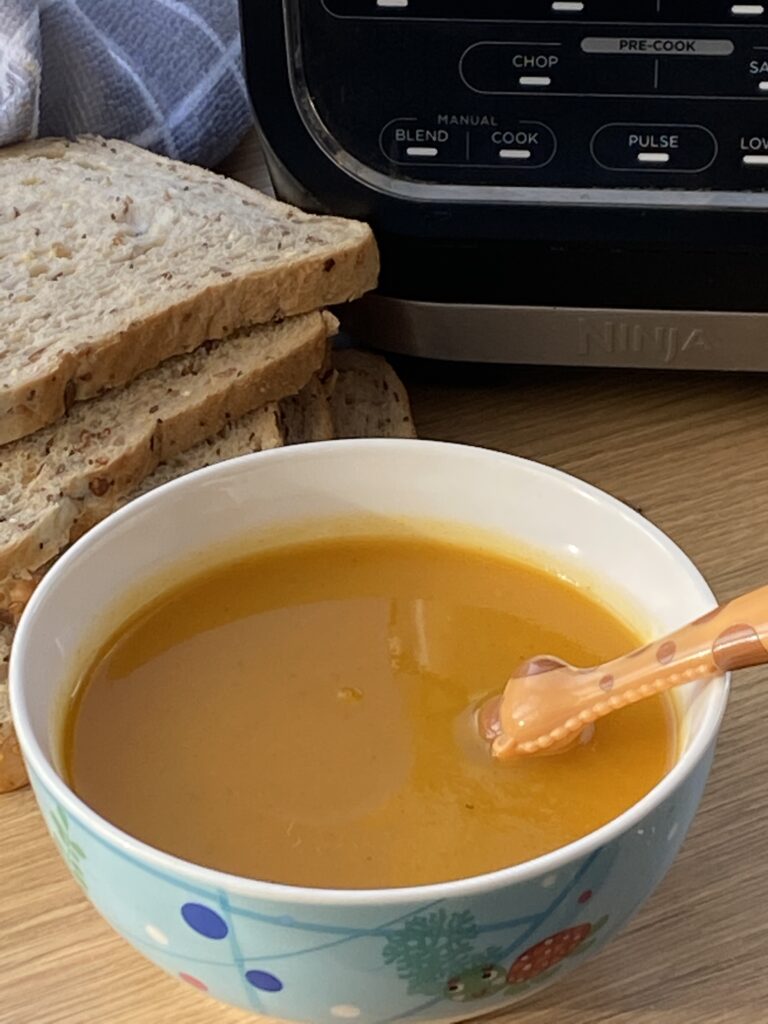 soup maker pumpkin soup