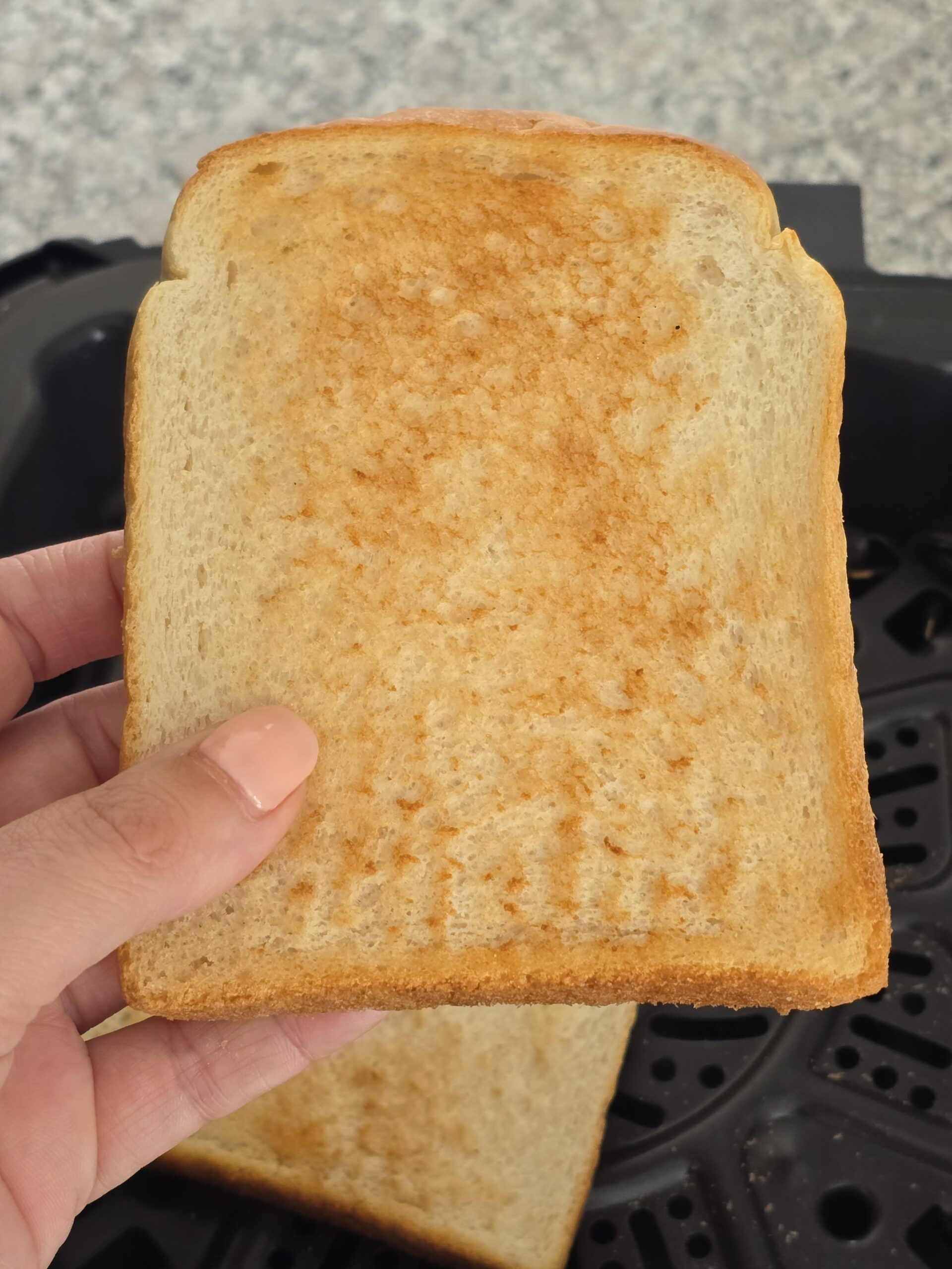 Ninja Speedi Toast
