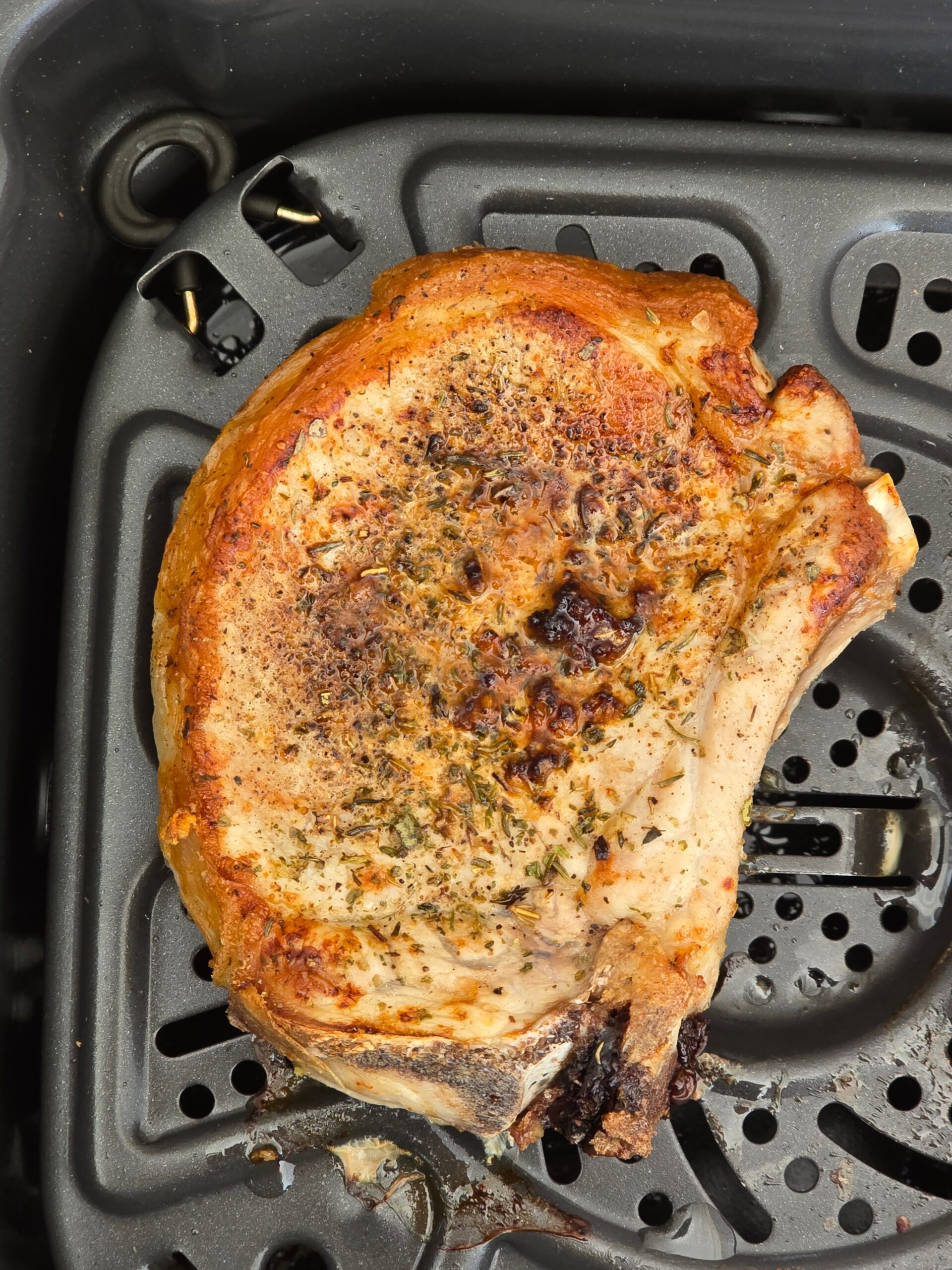 ninja speedi pork chops