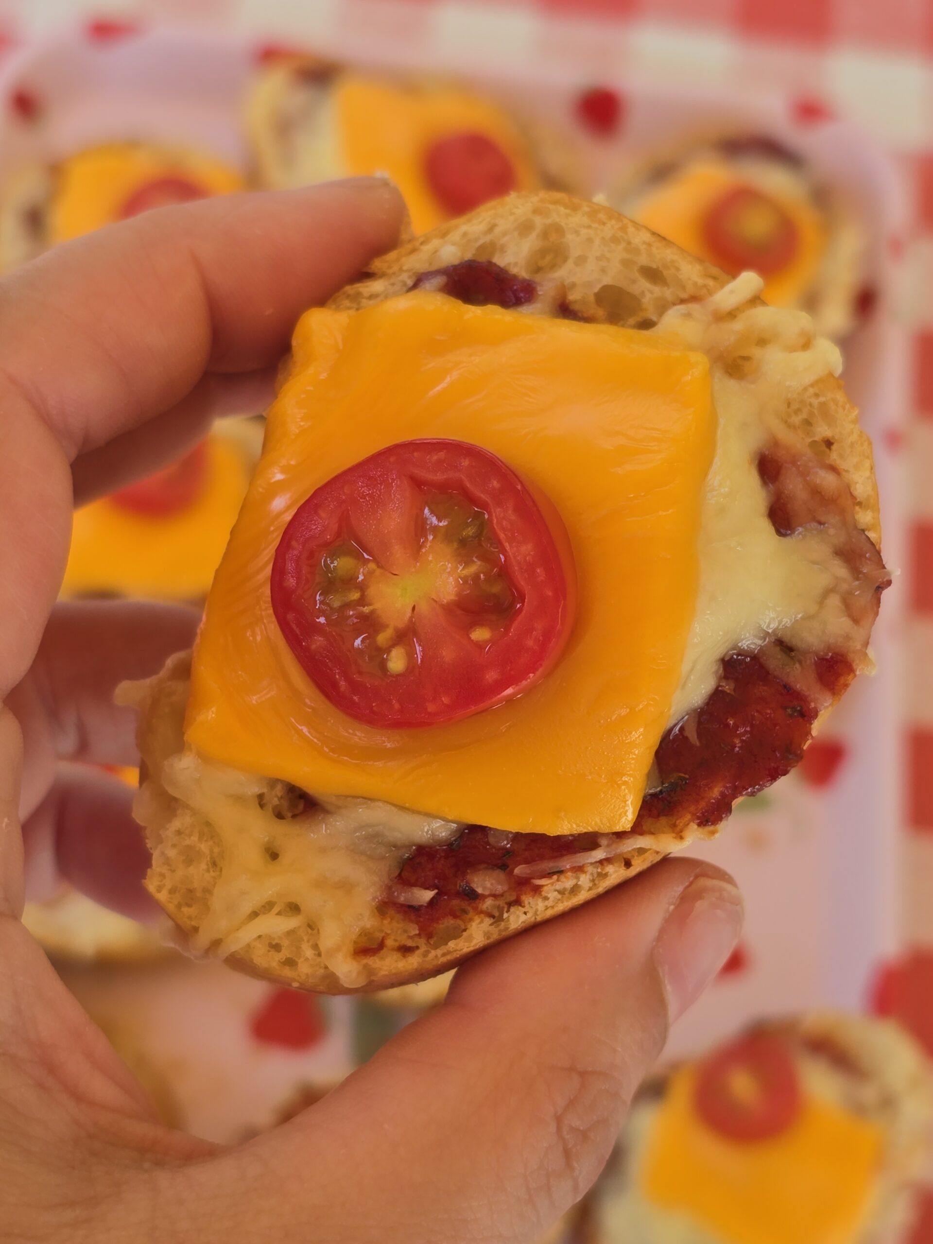 Ninja Speedi Air Fryer French Baguette Mini Pizzas