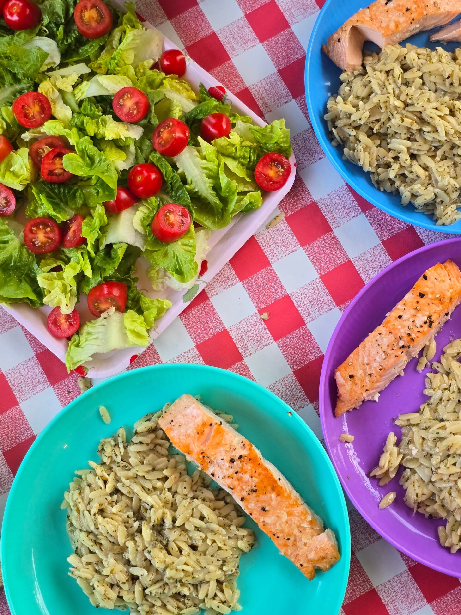 Ninja Speedi Salmon Orzotto