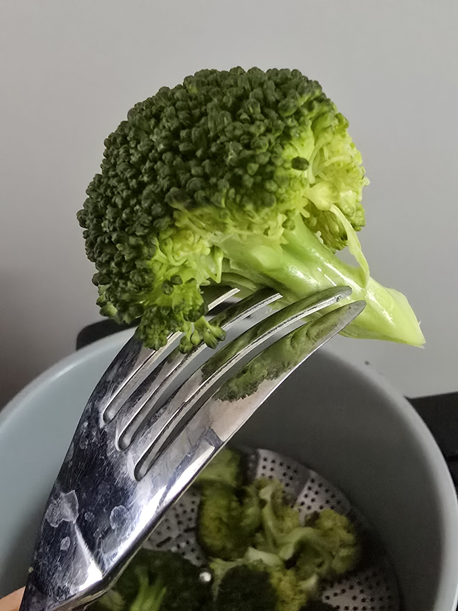 Ninja Foodi 15in1 Broccoli