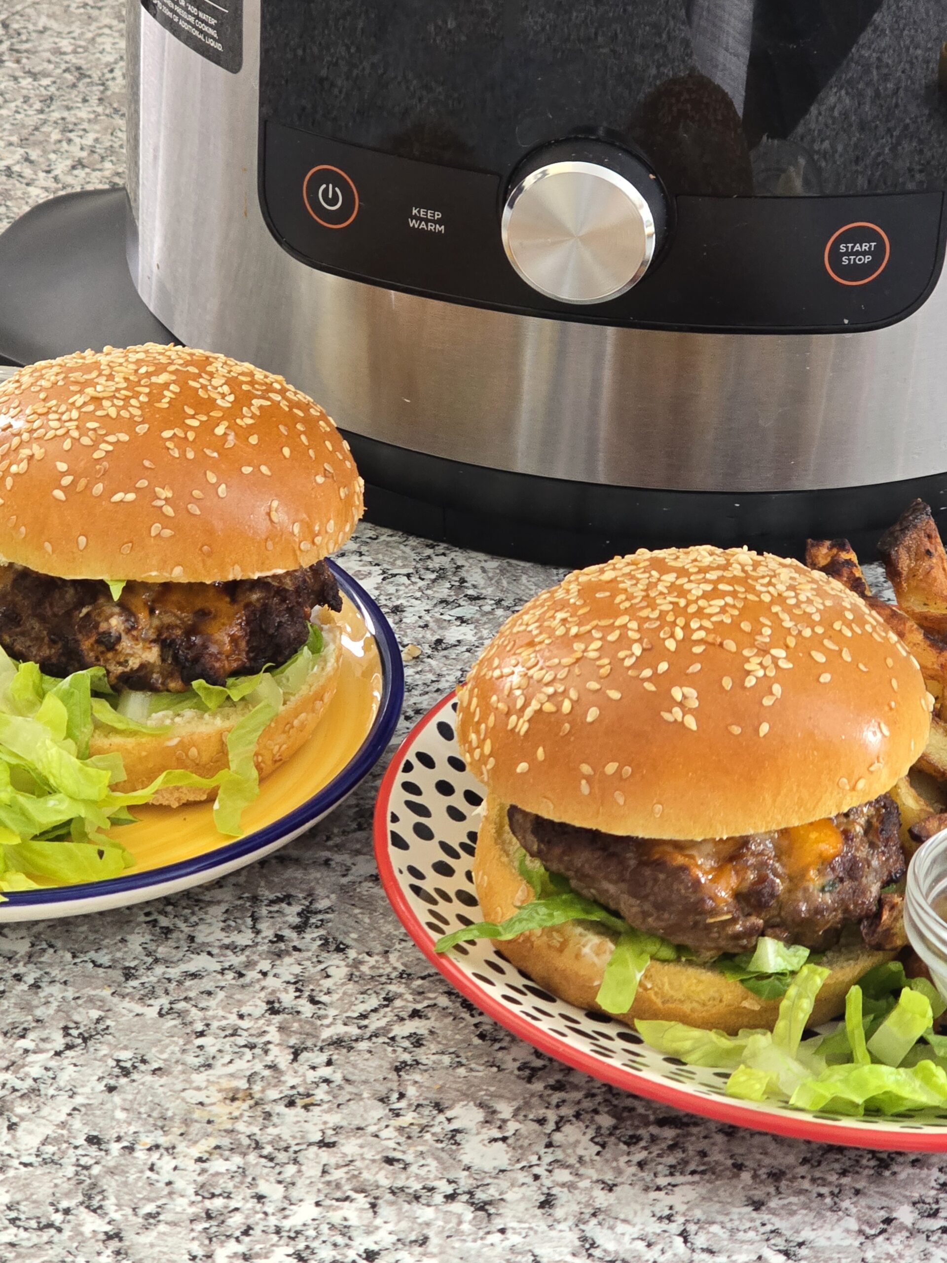 Ninja Foodi Burger & Chips