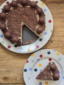 Ninja Speedi Baileys Cheesecake