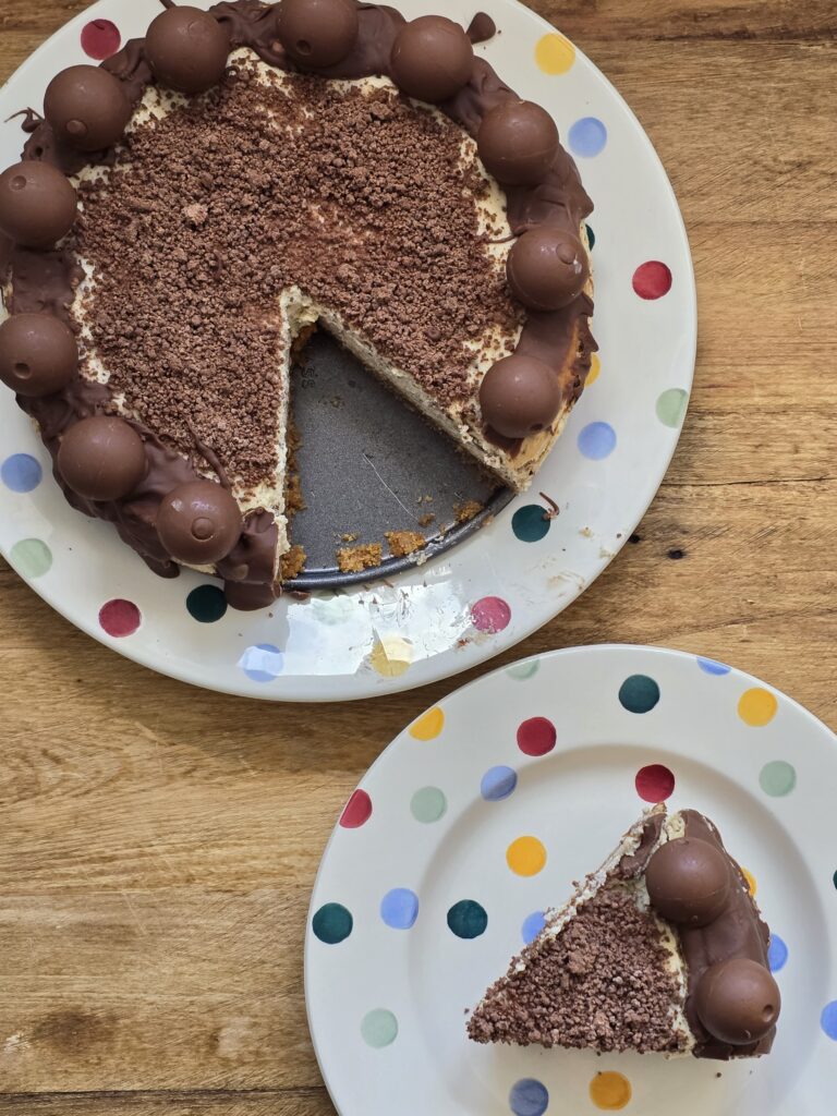 Ninja Speedi Baileys Cheesecake