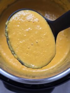 Pressure Cooker Butternut Squash Cheese Sauce