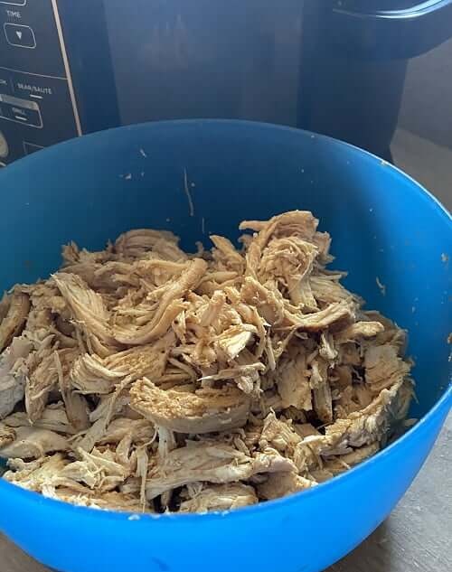 ninja foodi frozen chicken breast