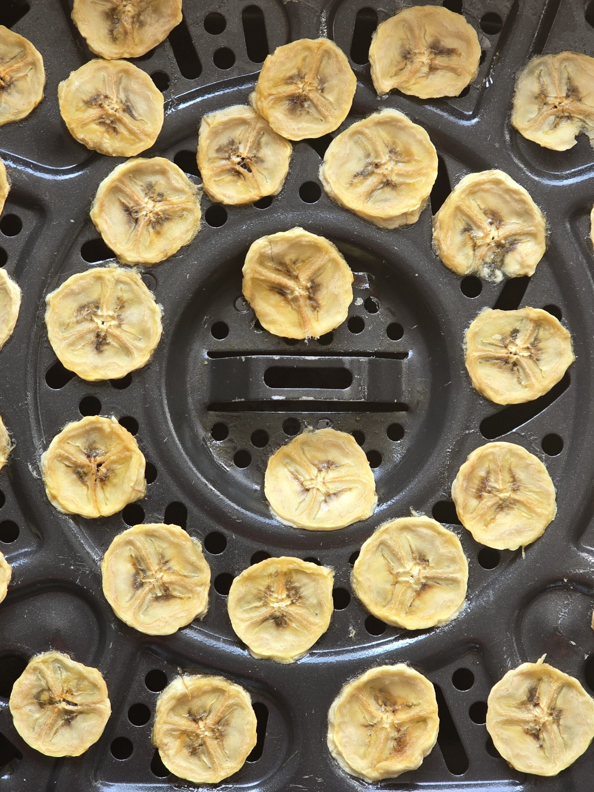 Ninja Speedi Dehydrated Banana Chips