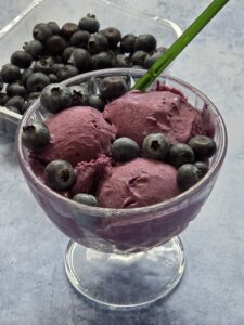 Ninja Creami Blueberry Ice Cream