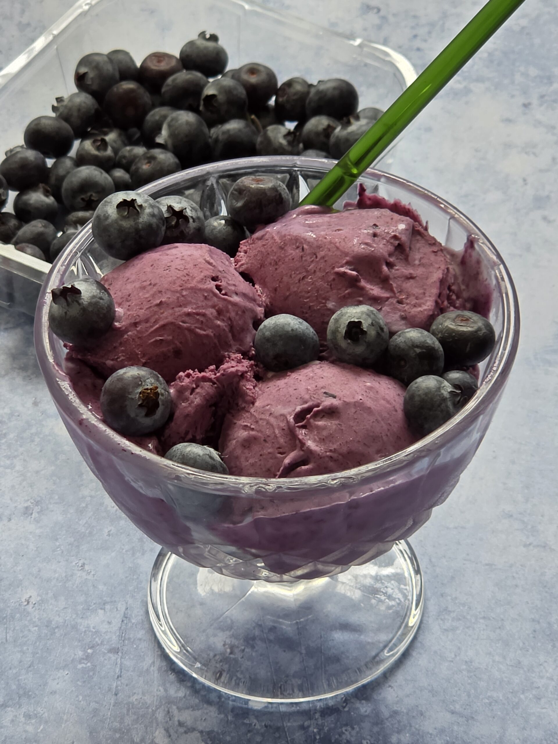 Ninja Creami Blueberry Ice Cream