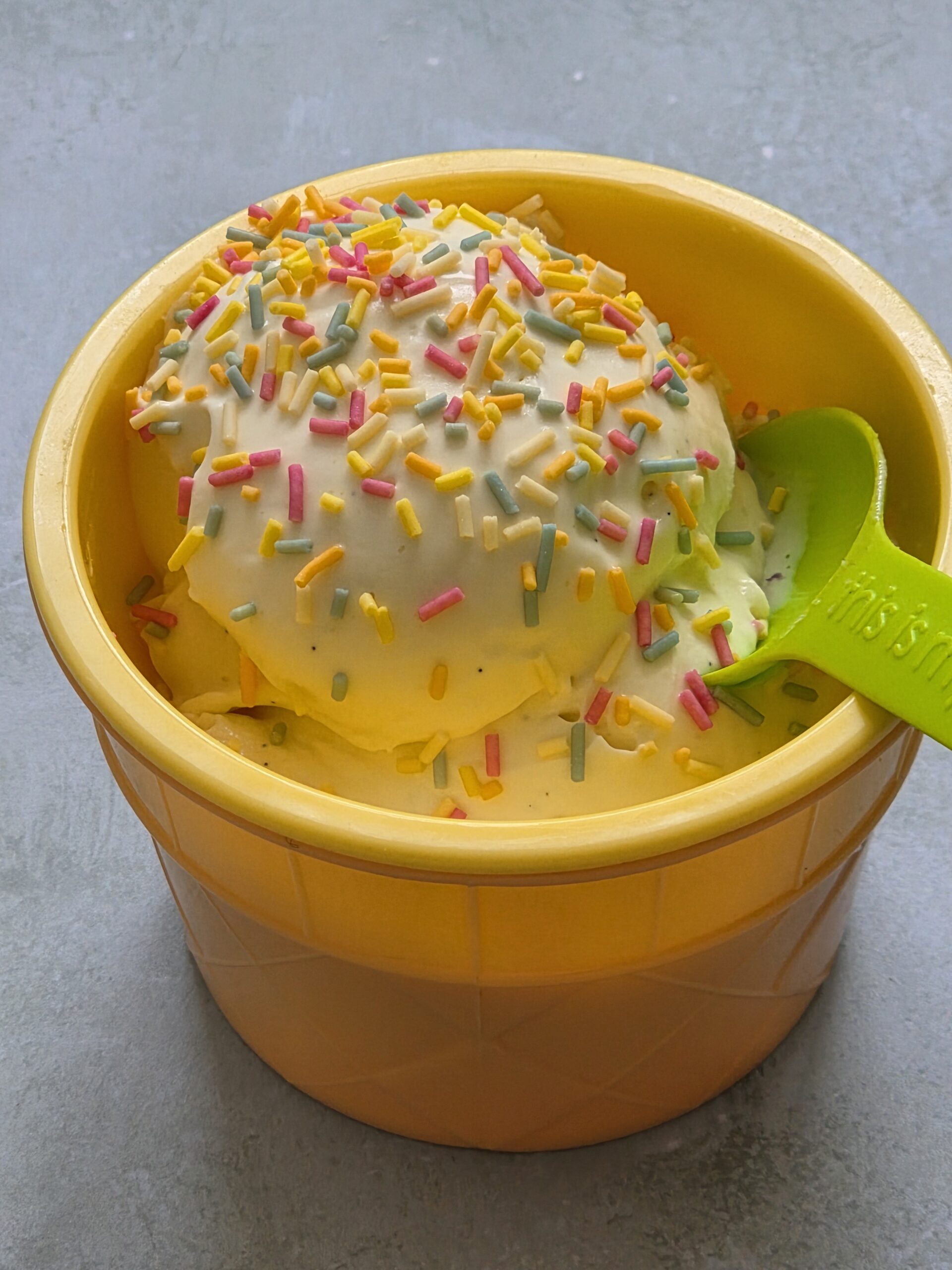 Ninja Creami Vanilla Frozen Yoghurt