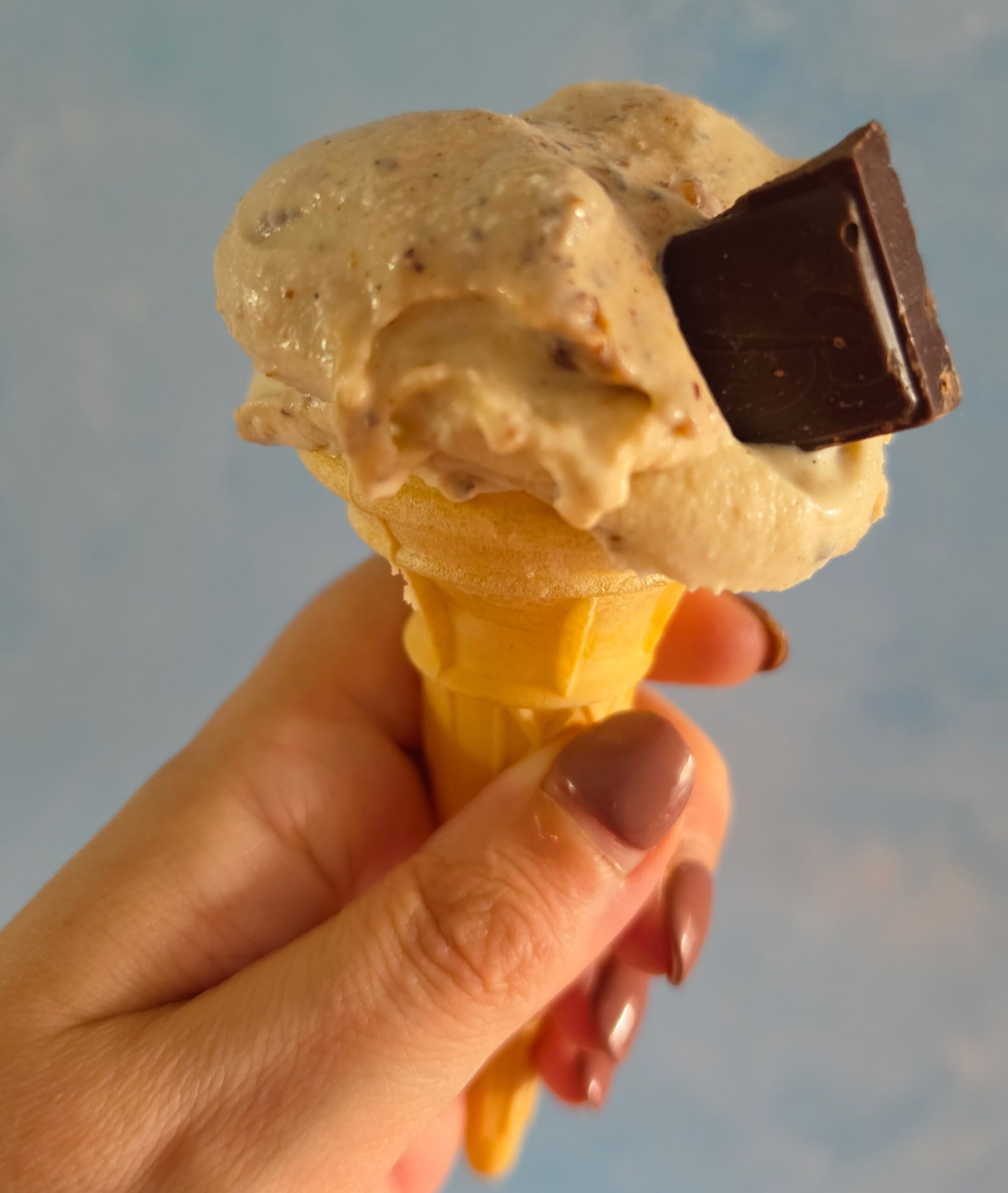 Ninja Creami Rum & Raisin Ice Cream