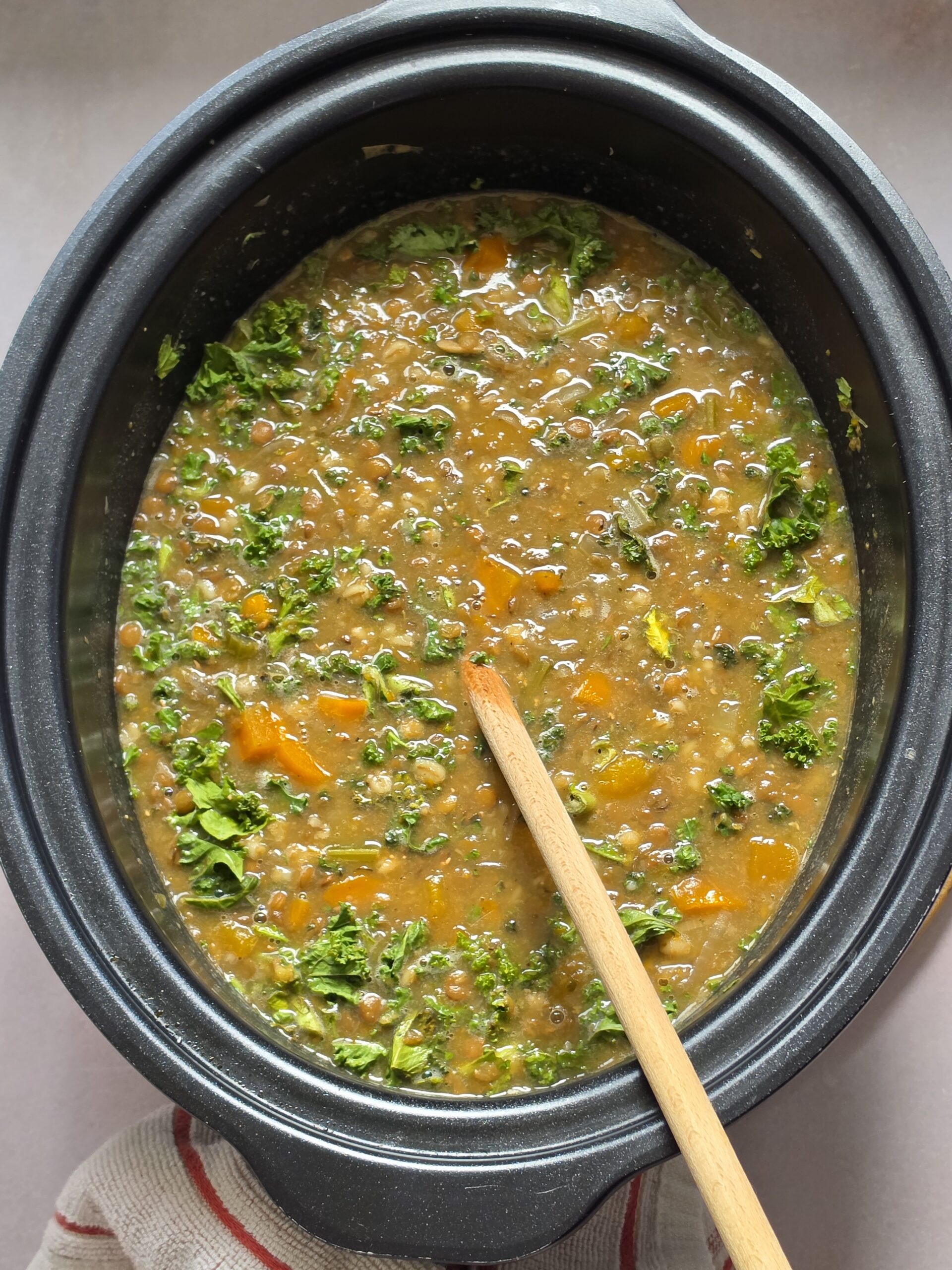 Slow Cooker Lentil Soup