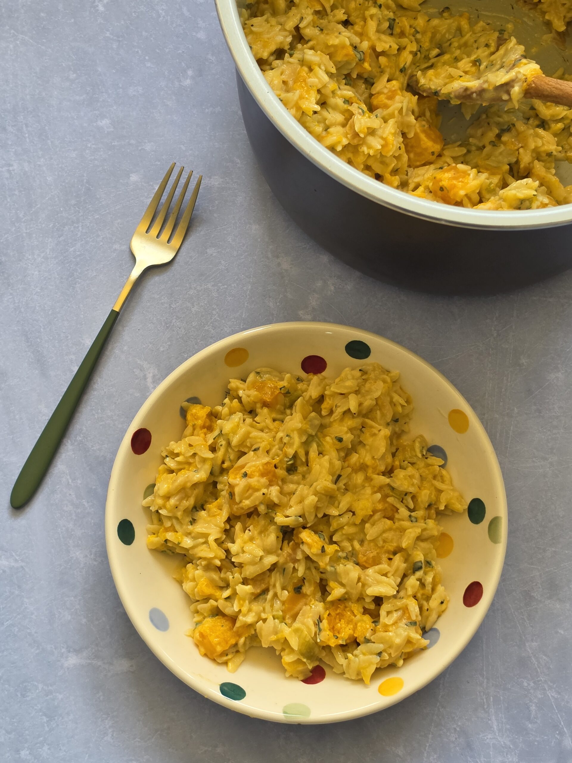 Slow Cooker Butternut Squash Orzotto