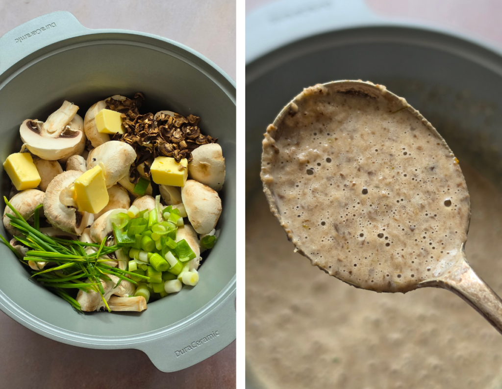 day 3 slow cooker cream of mushroom soup